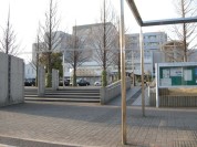 市川総合病院