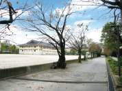 市川第一中学校
