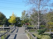 福栄スポーツ広場