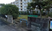 しいのき公園