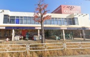 オリンピック市川大野