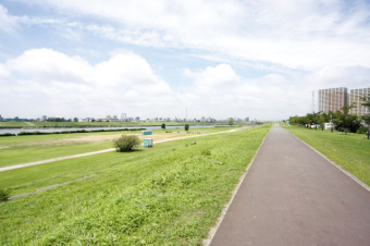 江戸川河川敷
