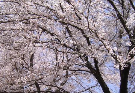 言・え・ば…