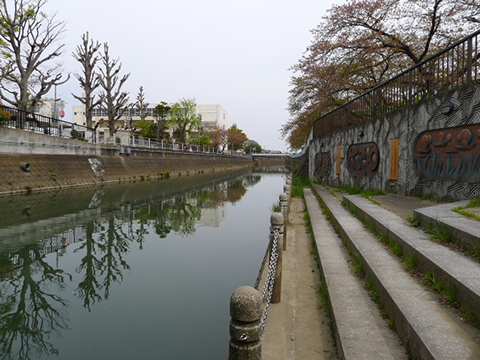 真間川【川面までおりる事が出来ます】