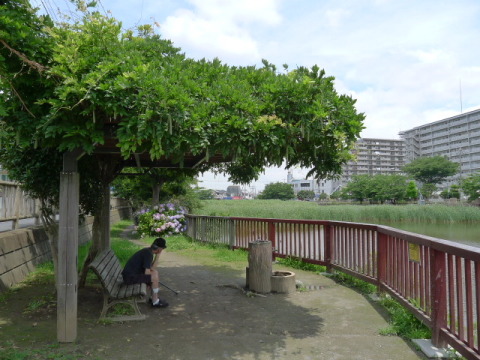【遊歩道】ベンチがありちょっとした休憩所です！