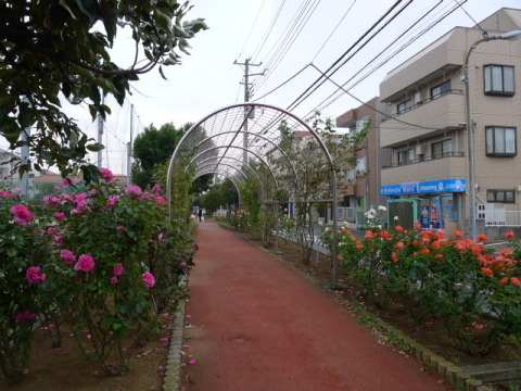 【木道】この奥は何かが・・・？