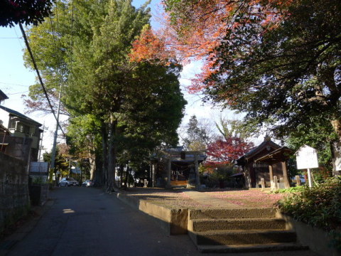 【住宅街にひっそりとたたずむ鎮守の森】村の鎮守といった趣で、その歴史は古く文明11年・・・。