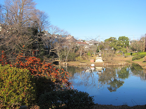 【遊具側から望む弁天池】この池に伝説の秘話が・・・。