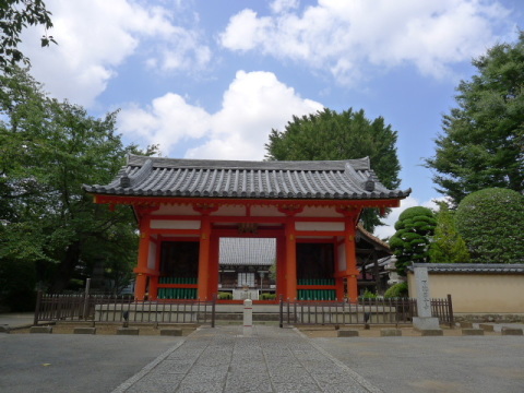 【国分寺　南大門】朱色がまぶしい立派な南大門です！