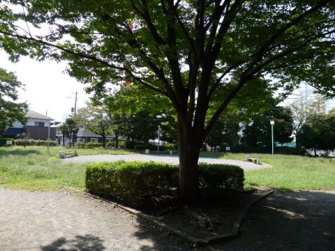 【園内中心の広場】一見何の変哲もない公園ですが・・・。