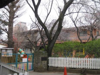 真間山幼稚園