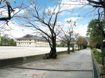 市川第一中学校