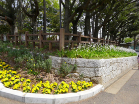 須和田公園【あちこちにきれいな草花が咲いています】