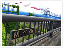 国分川鯉のぼりフェスティバル（祭り）